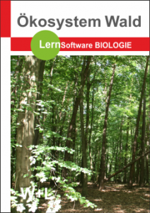 Ökosystem Wald